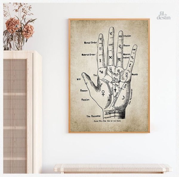 Illustration de mains pour la chiromancie et la chance