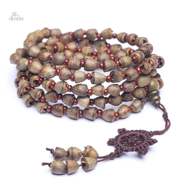 bracelet-fait-de-graines-deucalyptus-1 Bracelet en graines d'eucalyptus, symbole de chance