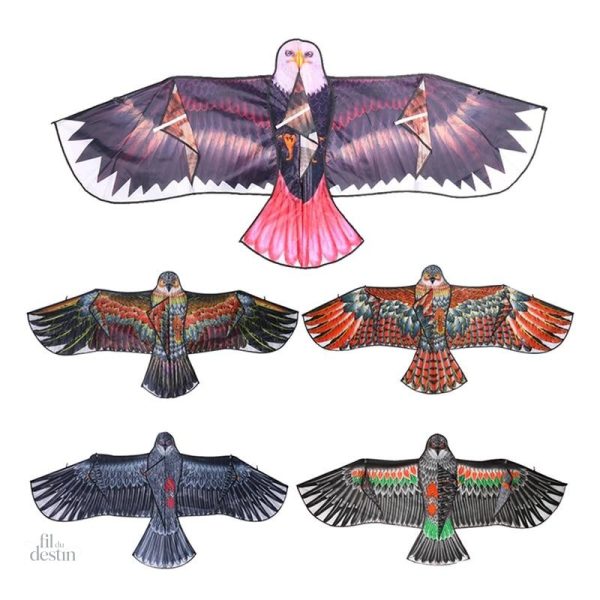 Cerf-volant Taka, art populaire japonais porteur de chance