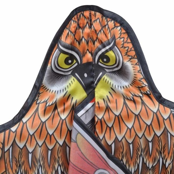 Cerf-volant japonais, Taka, amulette pour la réussite personnelle