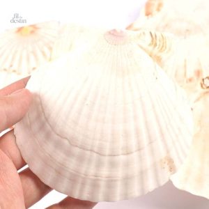 Objet sacré en forme de coquille Saint-Jacques