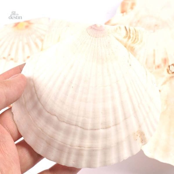 Objet sacré en forme de coquille Saint-Jacques
