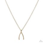 Collier porte-bonheur avec un os des vœux élégant