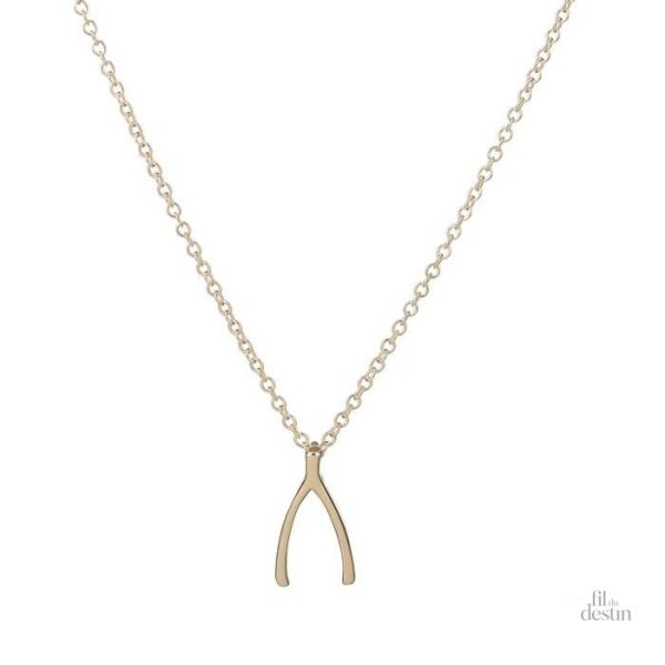 collier-avec-un-os-des-voeux-1 Collier porte-bonheur avec un os des vœux élégant