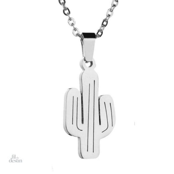 collier-de-cactus-du-desert-americain-1 Collier cactus désert américain, symbole porte-bonheur