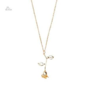 Collier porte-bonheur de la rose anglaise, élégant et délicat