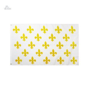 Drapeau médiéval de la France, bannière historique
