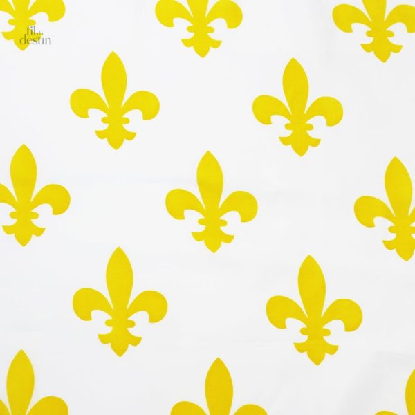 Drapeau historique français, motif traditionnel