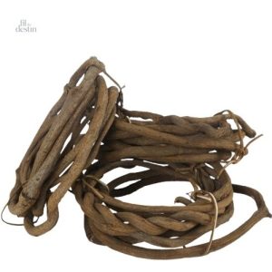 Lianes de banian porte-bonheur hindou