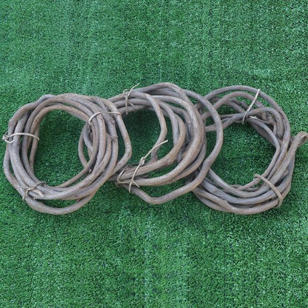 Porte-bonheur hindou : lianes de banian authentiques