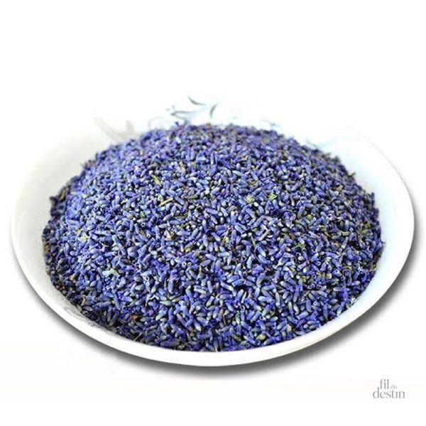 lavande-medicinale-1 Lavande médicinale séchée pour infusion et aromathérapie