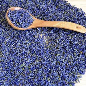 Herbes médicinales : lavande pour relaxation et bien-être naturel