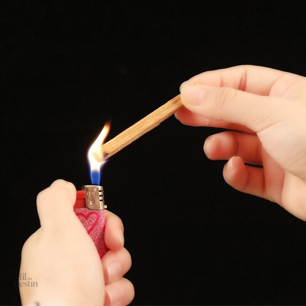 Objets de bonheur hindou en bois de Santal naturel