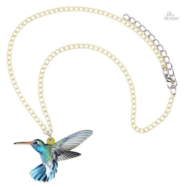 Bijou coloré en forme de colibri, accessoire porte-bonheur