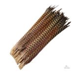 Plumes de faisan