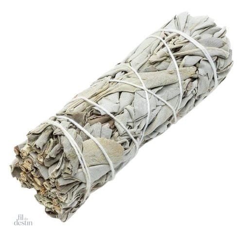 sauge-blanche-officinale-1 Sauge blanche officielle, symbole de purification et de chance