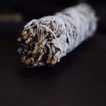 Sauge officinale, herbe sacrée pour rituels anciens