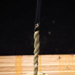 Sauge blanche, un amulette de bien-être et de sérénité
